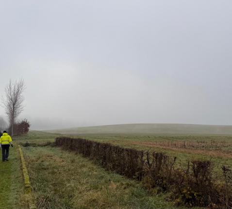 Kerstwandeling hoop © Tom Thoelen