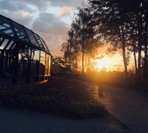 Opkomende zon aan Gasthuisberg in Leuven © Laura