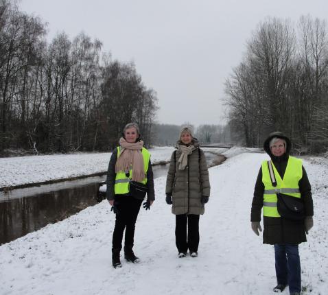 Wandelen in de Herebossen 