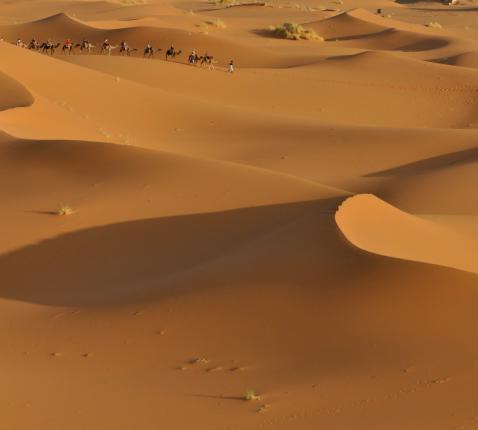 Het Exodusverhaal © -