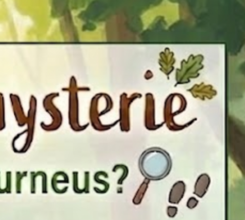 Bosmysterie 