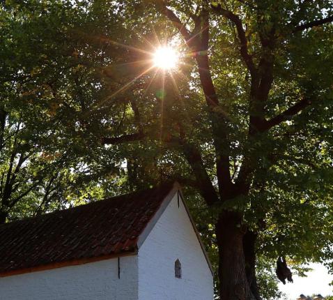 Een zon met visie © (c) Foto Achiel Claessen