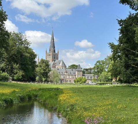 Basiliek vanuit het bos © bedevaarten