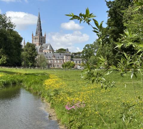 Basiliek vanuit het bos © bedevaarten