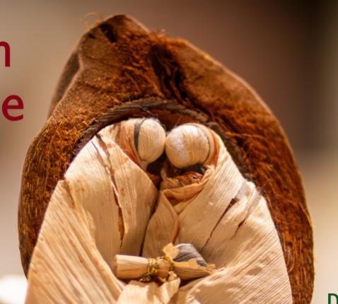 Kerstmis 2025 in groot-Ninove © Alexander Vandaele