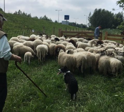 Deur naar het leven © -