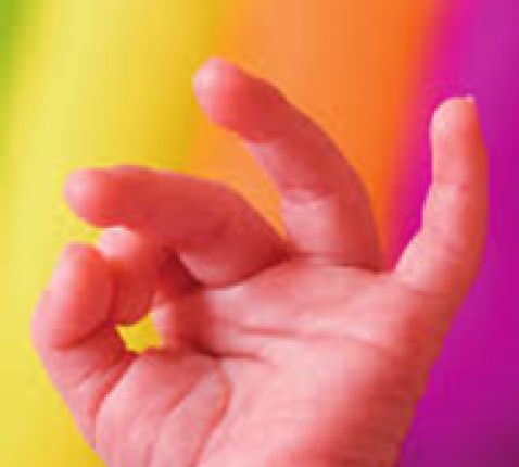 Lichtmis afbeelding HH 