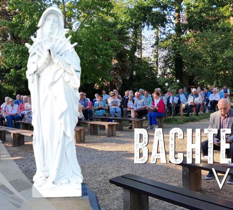 bachte grot 