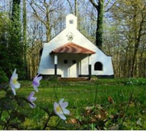 Sint-Theresiakapel Haasrode © Vrienden van de Sint-Theresiakapel in het Meerdaalwoud