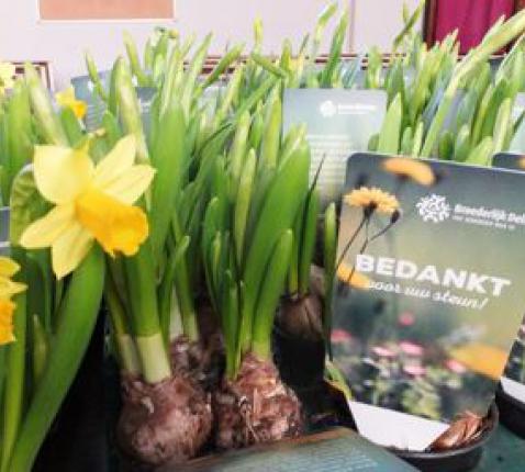 Narcissenverkoop 