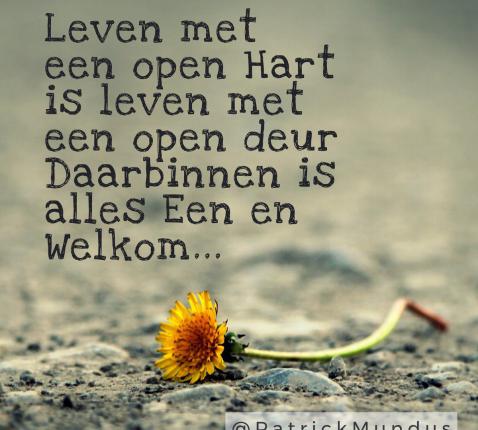 Open hart © -
