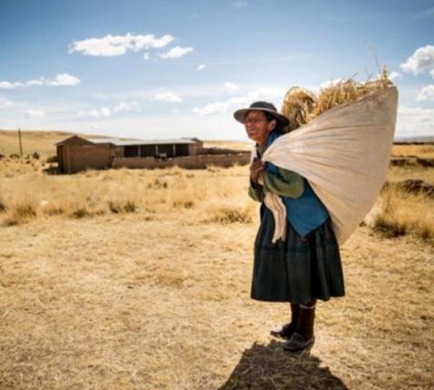 Peru © Thomas De Boever