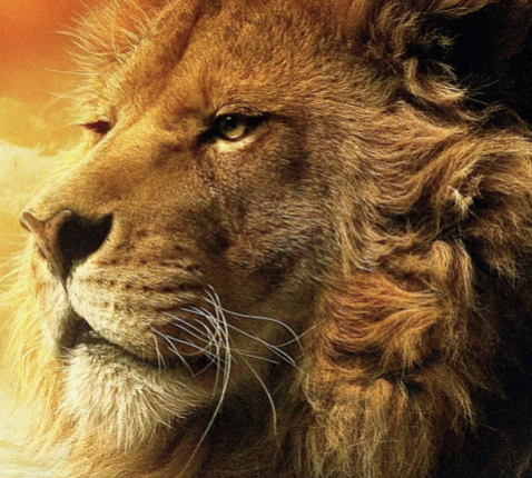 Aslan, de leeuw die zich opoffert voor andermans zonden, is een messiaans personage in de film. © rr