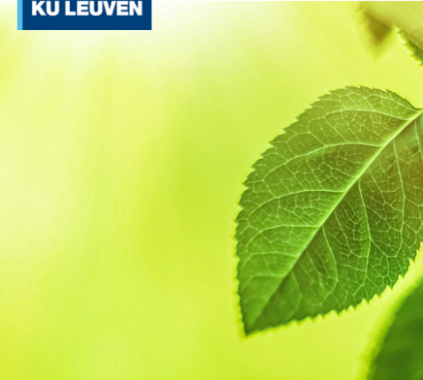 CCV Gent © CCV Gent