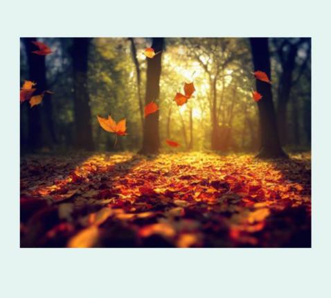 Herfstwandeling © Pelgrimspastoraal bisdom Hasselt Herfstwandeling © Pelgrimspastoraal bisdom Hasselt