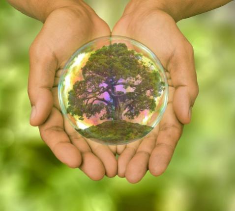 Sustainability © Pixabay