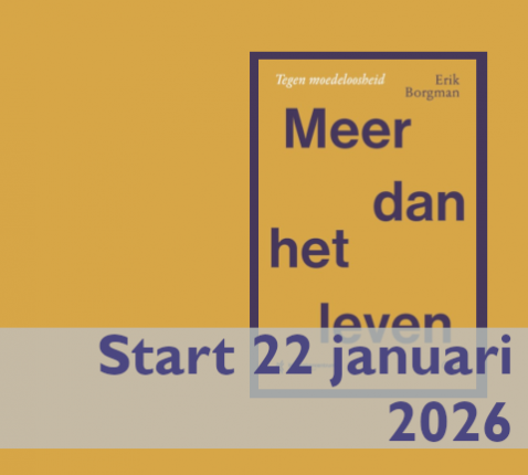 Lessen in Hedendaagse theologie - Boek Erik Borgman 'Meer dan het leven' © cover boek Erik Borgman