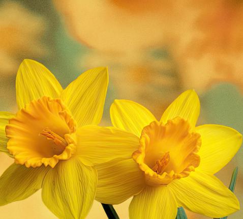 Het mysterie verborgen in ons 