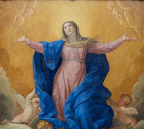 The assumption 