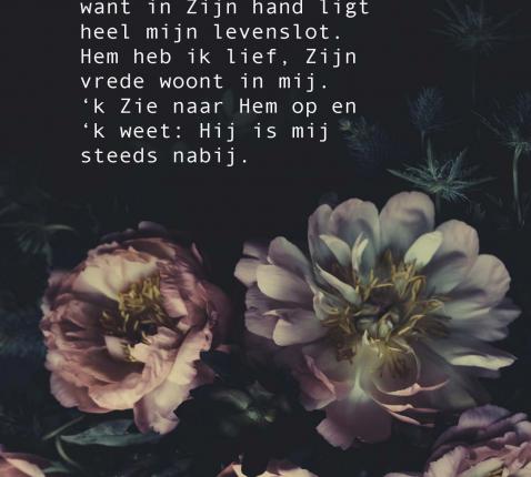 Vertrouwen in God © -