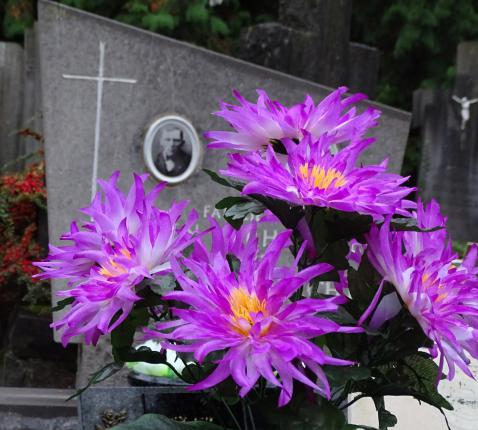 Allerzielen-Allerheiligen 