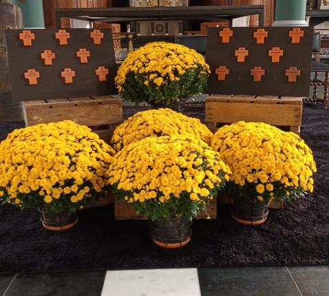 Allerzielen in Oedelem 