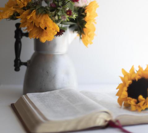 zondagen door het jaar - zomer © Unsplash Sixteen Miles Out