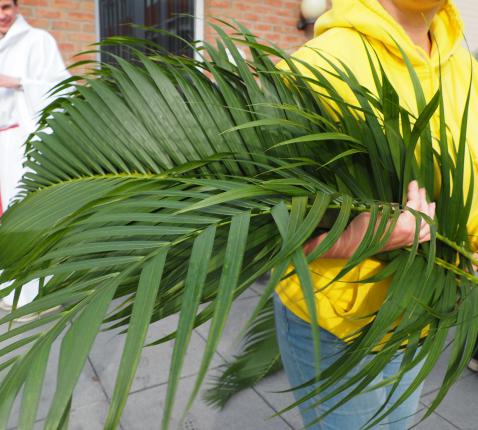 Palmprocessie 2025 © Pascal Vandecasteele