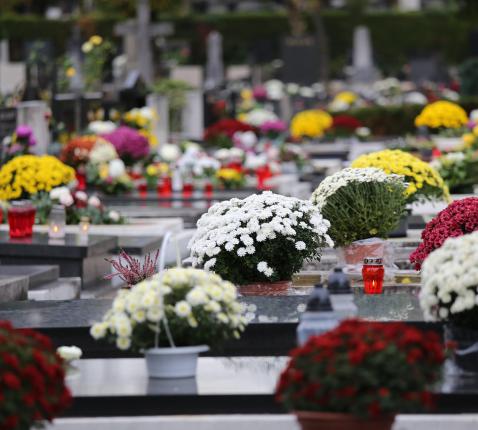 Allerheiligen 2025 © (c) pixabay