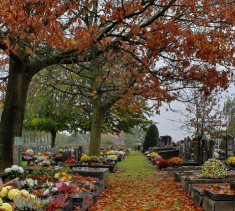Allerheiligen © Didier Pollefeyt - Thomas