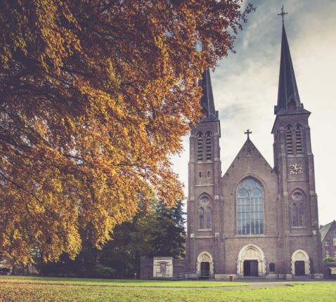 basiliek oostakker © otheo