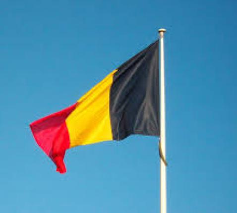 vlag 
