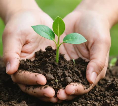 Biblical stewardship hands 