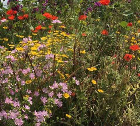 Christelijke solidariteitsorganisaties werken aan een rechtvaardige samenleving door samen te strijden voor verandering. © StafPeeters