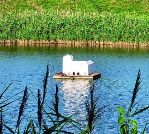 Vandaag voelen vele christenen in het geseculariseerde Europa als "in ballingschap" © Ilse Van Halst