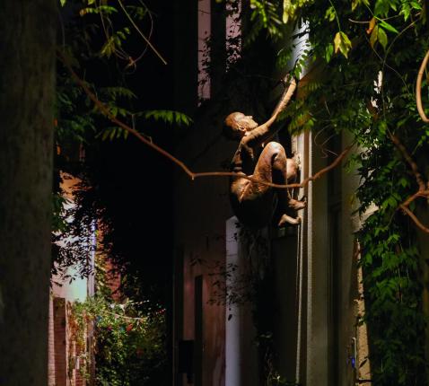 Lichtzoeker © Senne Dehandschutter