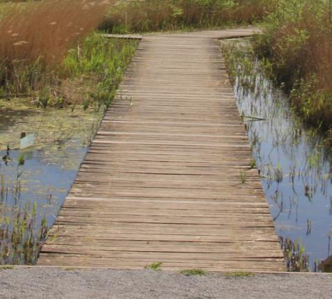 Als God op je weg komt © Pastorale Eenheid O.L.V. Krekedal Kortemark