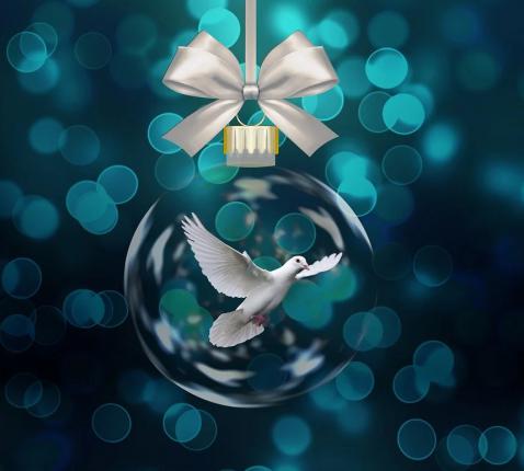 Kerstwens 2025 © Pixabay (free image) Kerstwens 2025 © Pixabay (free image)