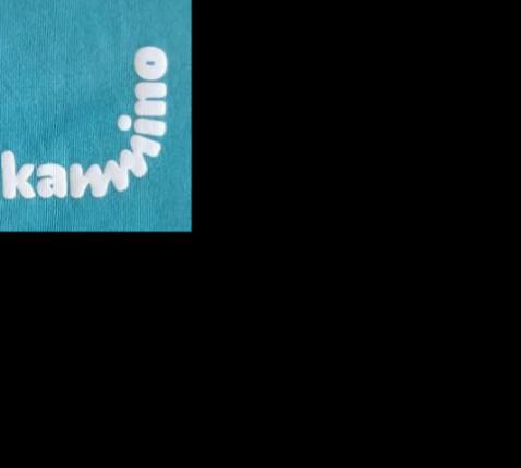 logo Kamino Aalter (nieuw) © Kamino Aalter