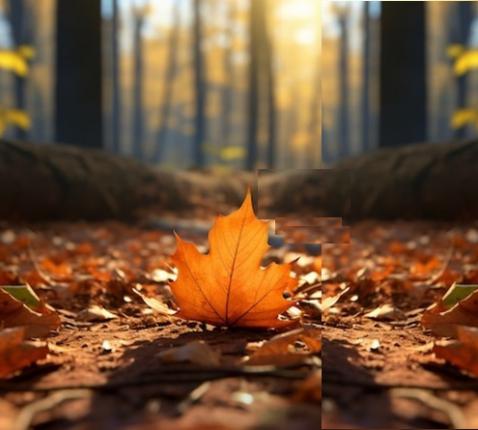 Allerheiligen - Allerzielen 