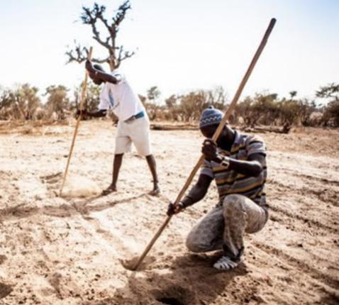In Senegal vechten kleine boeren voor hun familiale landbouw en tegen de droogte. Met de hulp van Broederlijk Delen. © Broederlijk Delen