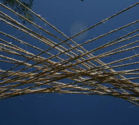 Verbondenheid. © Danny Maenhaut