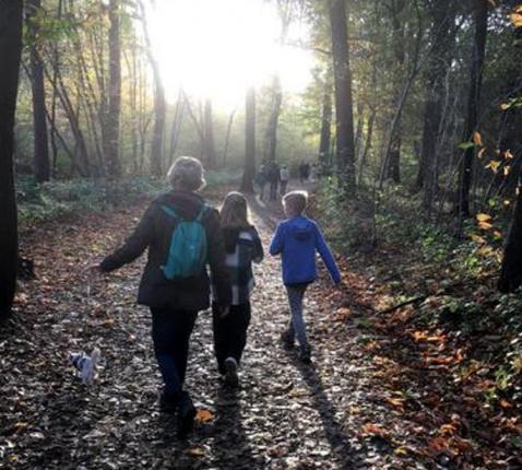 Durven vertrouwen zoals Abraham, de stamvader van het geloof, die op stap ging als een zwerver. © Hans Medart