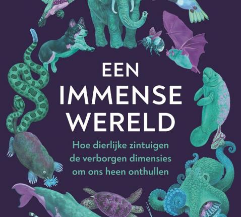 wereld 
