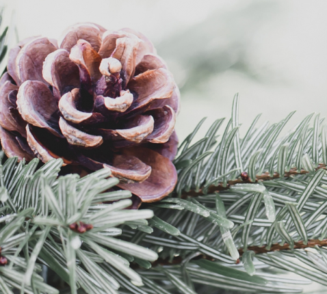 Kerstvieringen 2025 in PE Sint-Germanus Ardooie © PE Sint-Germanus Ardooie