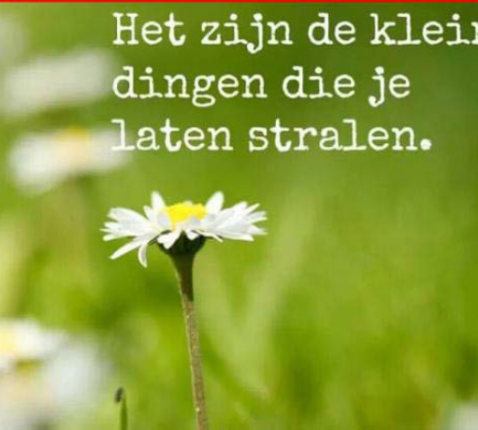 Kleine dingen 