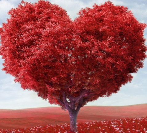 valentijn 