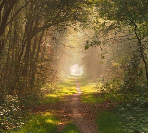 Pelgrimswandeling Goede Week 