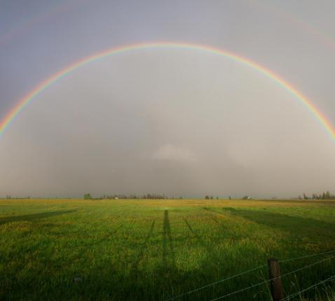 Regenboogviering © Pexels