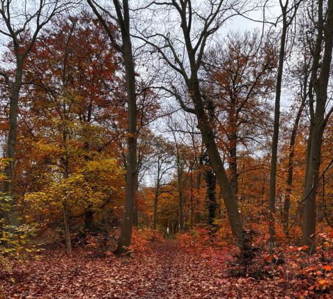 Oktobergedachten © Pexels